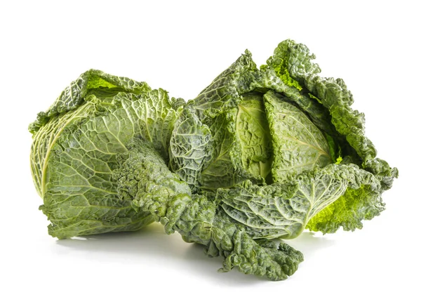 Fresh savoy cabbage on white background — Stock Photo, Image