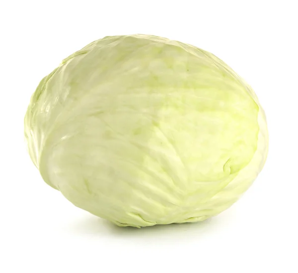 Fresh cabbage on white background — Stock Photo, Image