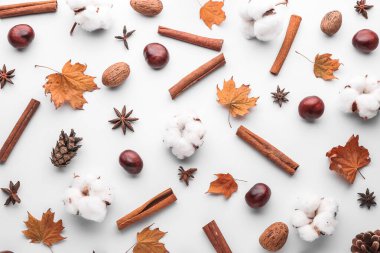 Beyaz zemin üzerinde sonbahar yaprakları ve baharatları olan kompozisyon