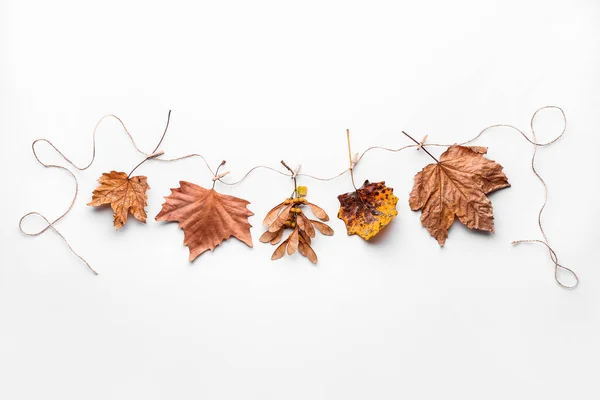 Guirlanda feita de folhas de outono no fundo branco — Fotografia de Stock
