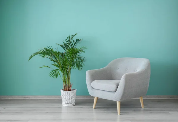 Comfortable armchair and houseplant near color wall — Stock Photo, Image