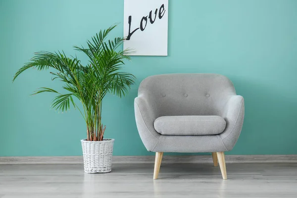 Comfortable armchair and houseplant near color wall — Stock Photo, Image