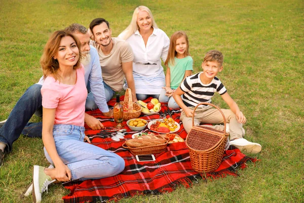 Big family having picnic in park — Stock Photo, Image