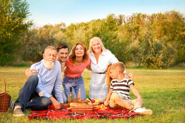 Grande família fazendo piquenique no parque — Fotografia de Stock