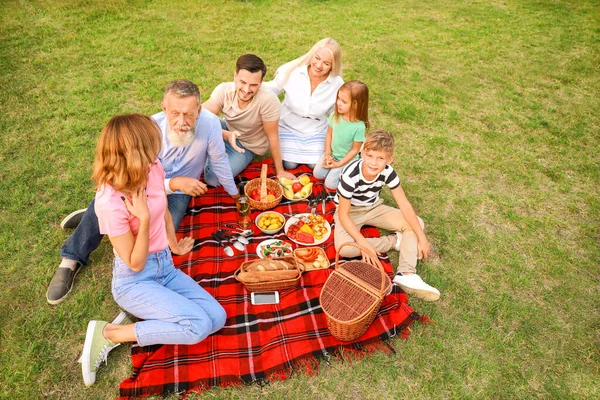 Grande família fazendo piquenique no parque — Fotografia de Stock