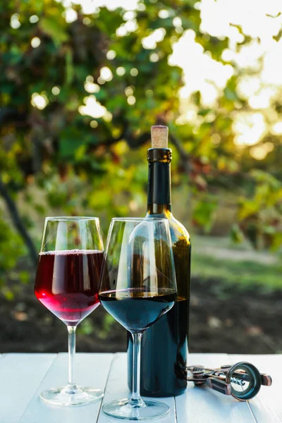 Copos e garrafa de vinho saboroso na mesa em vinha — Fotografia de Stock