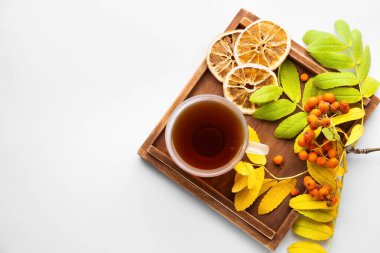 Güzel sonbahar kompozisyonu ve beyaz arka planda bir fincan çay.