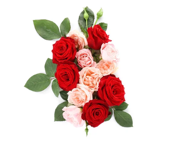 Hermosas flores de rosa sobre fondo blanco — Foto de Stock