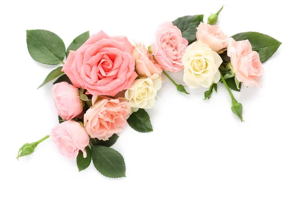 Красивые цветы розы на белом фоне — стоковое фото