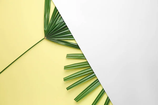 Fresh tropical leaves and blank card on color background