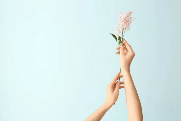 Female hands with beautiful flowers on color background — Stock Photo, Image