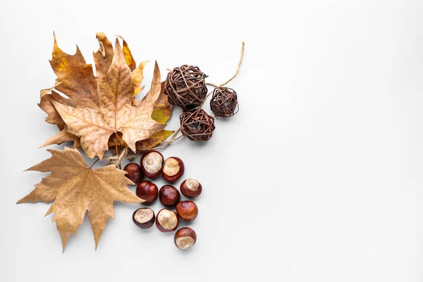 白地に乾燥した葉や栗が美しい秋の構図 — ストック写真