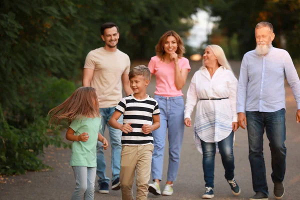 Grande famiglia a piedi nel parco — Foto Stock