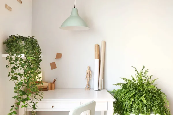 Modern stylish workplace with houseplants — Stock Photo, Image