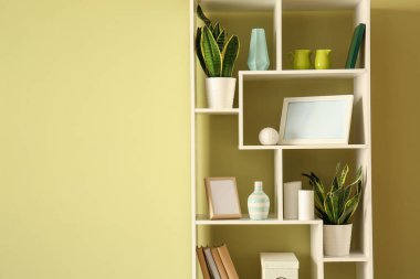 Renk duvarının yanında iç dekorla rafa koy