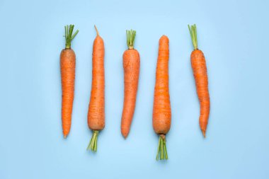 Renkli arka planda taze havuç