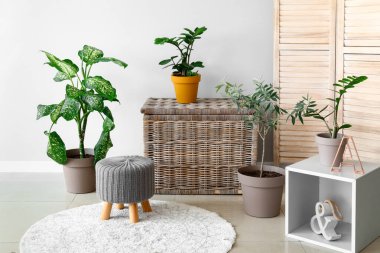 Yeşil ev bitkileriyle süslü bir oda.