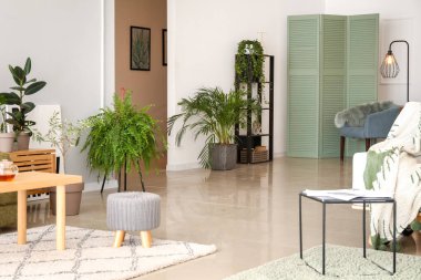 Yeşil ev bitkileriyle süslü bir oda.