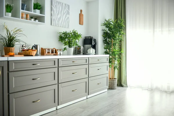 Interior moderno de la cocina con plantas de interior verdes — Foto de Stock