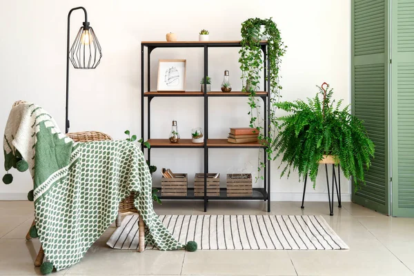 Stylish interior of room with green houseplants — Stock Photo, Image