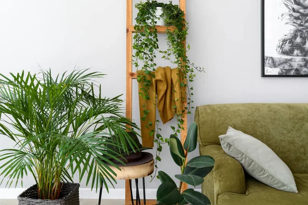 Elegante interior de habitación con plantas de interior verdes — Foto de Stock