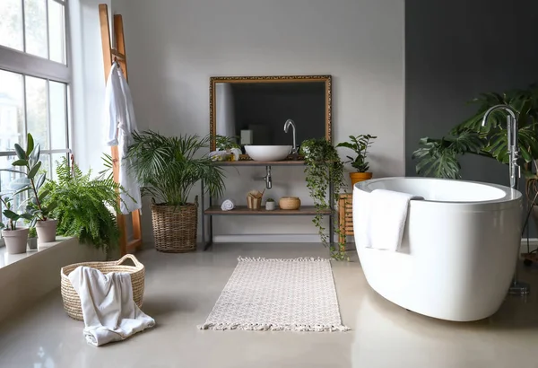 Elegante interior de baño con plantas de interior verdes —  Fotos de Stock