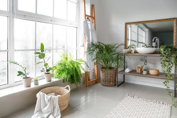 Стильний інтер'єр ванної з зеленими кімнатними рослинами — стокове фото