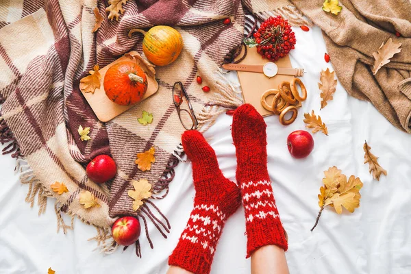 Female legs in warm socks and beautiful autumn composition on white fabric — Stock Photo, Image