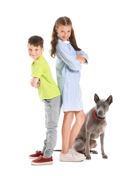 白い背景の上のかわいい犬と一緒に小さな子供たち — ストック写真