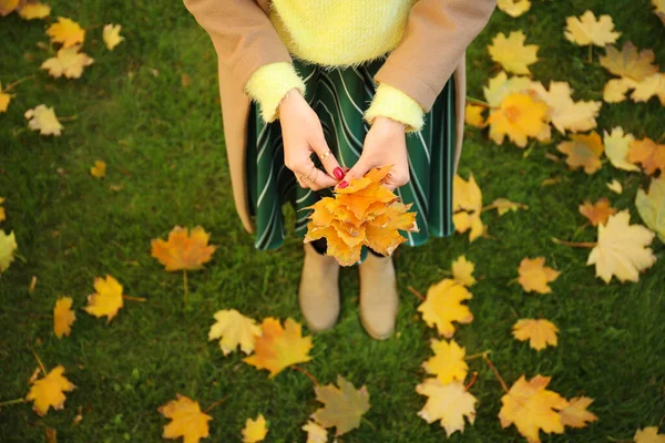 秋の公園で美しい若い女性が — ストック写真