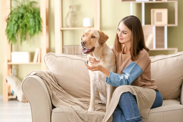 Vacker ung kvinna med söt hund hemma — Stockfoto