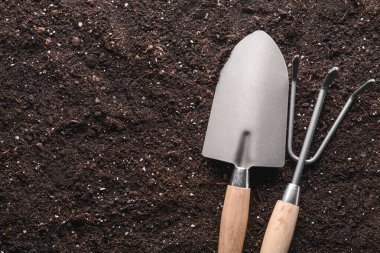 Gardening tools on soil, top view clipart
