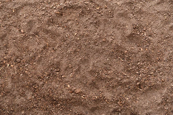 Texture of soil as background — Stock Photo, Image