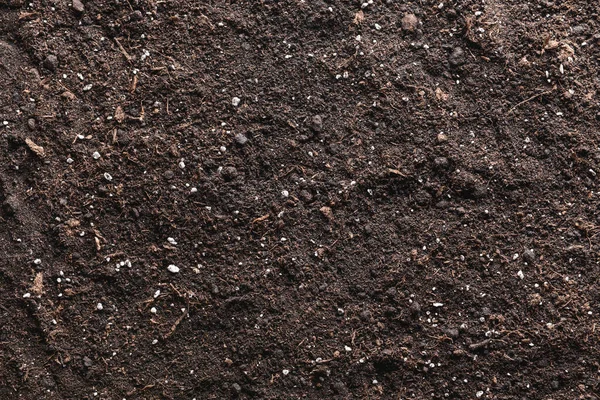 Texture of soil as background — Stockfoto
