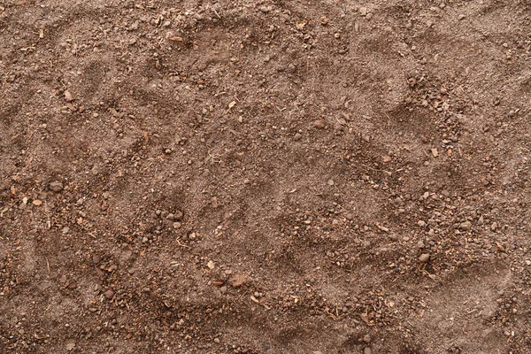 Texture of soil as background Royalty Free Stock Photos