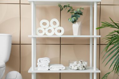 Tuvalet kağıtları tuvaletteki raflarda.