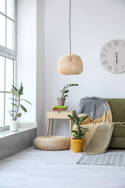 Interieur Van Moderne Kamer Met Bank Kamerplanten — Stockfoto