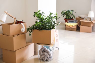 Taşındığı gün yeni dairede içinde eşyalar olan karton kutular.