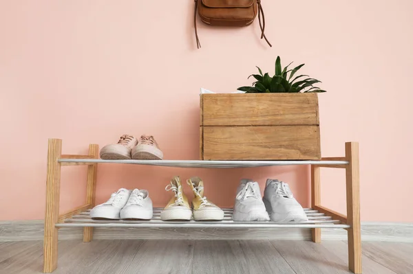 Stand Stylish Shoes Interior Modern Hall — Stock Photo, Image