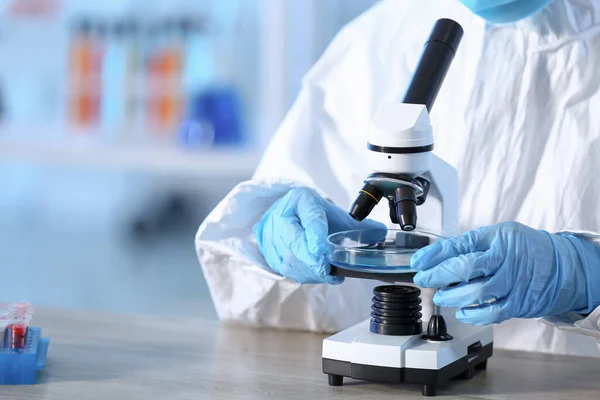 Scientist Working Microscope Laboratory — Stock Photo, Image