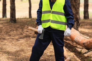 Ormanda baltası olan yakışıklı bir oduncu.