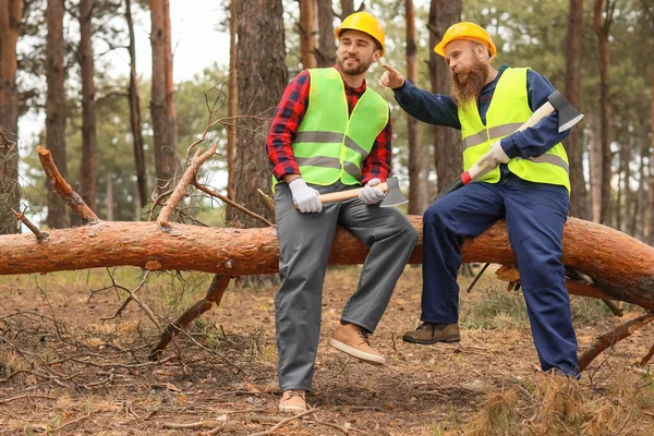 Lenhadores Bonitos Sentados Árvore Floresta — Fotografia de Stock