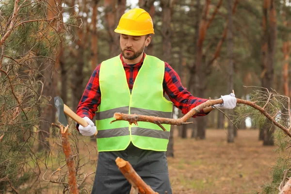 Handsome Lumberjack Cutting Trees Forest — Stock Photo, Image