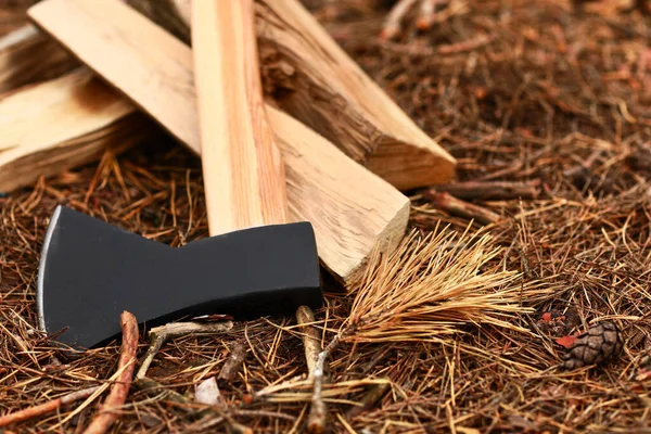 Oduncu 'nun balta ve ağaç kütükleri ormanda