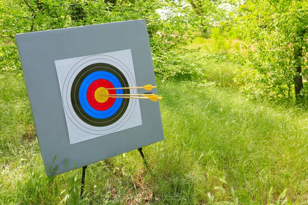 Okçuluk için ormanda oklar var.