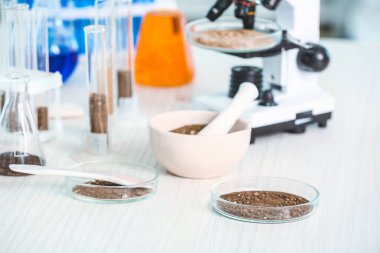 Laboratuvardaki masada toprak, mikroskop ve cam örnekleri.