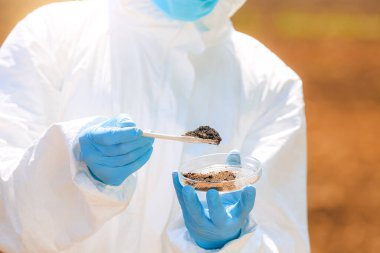 Bilim adamı tarladaki toprak örneklerini inceliyor, yakından.