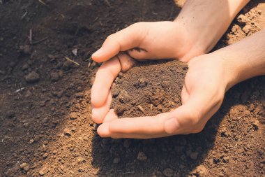 Tarlada bir avuç toprak olan tarımcı, yakın plan.