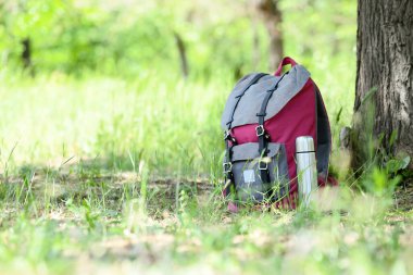 Gezginin sırt çantası ve termos şişesi parkta.