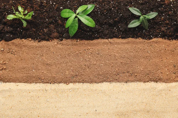 Different Types Soil Background — Stock Photo, Image